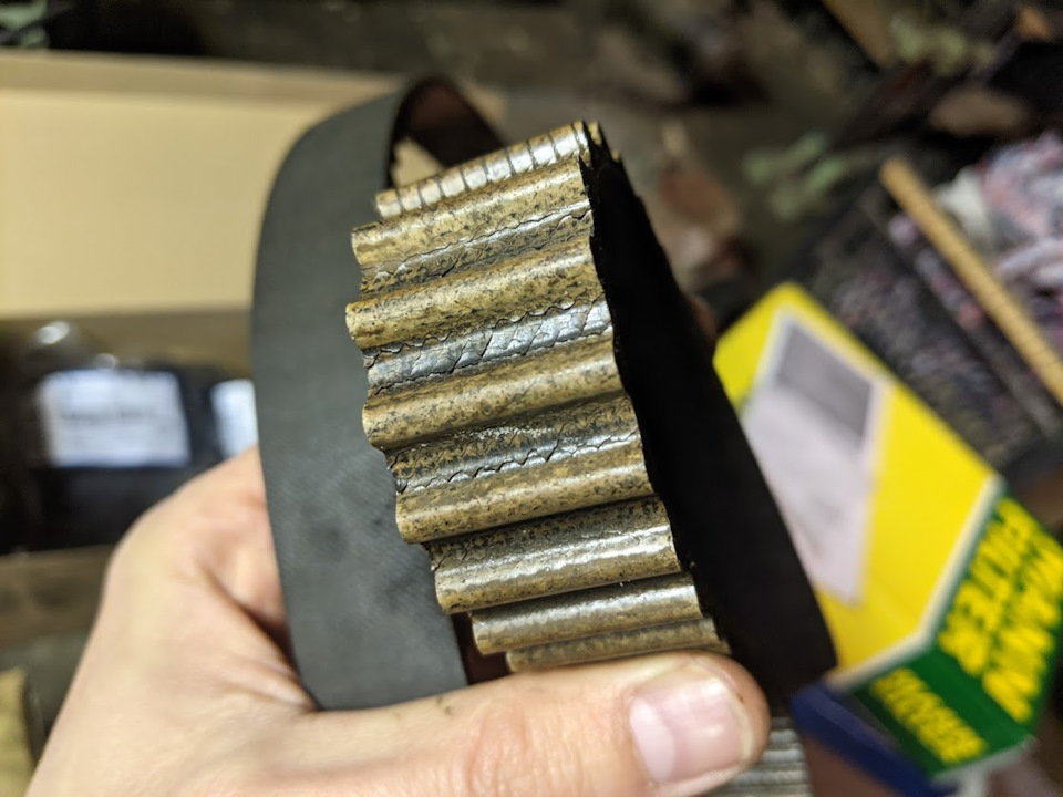 Фото в бортжурнале Volkswagen Golf Variant (Mk7)