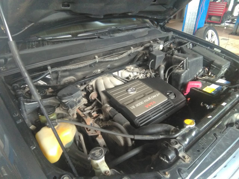 Фото в бортжурнале Toyota Highlander (XU20)