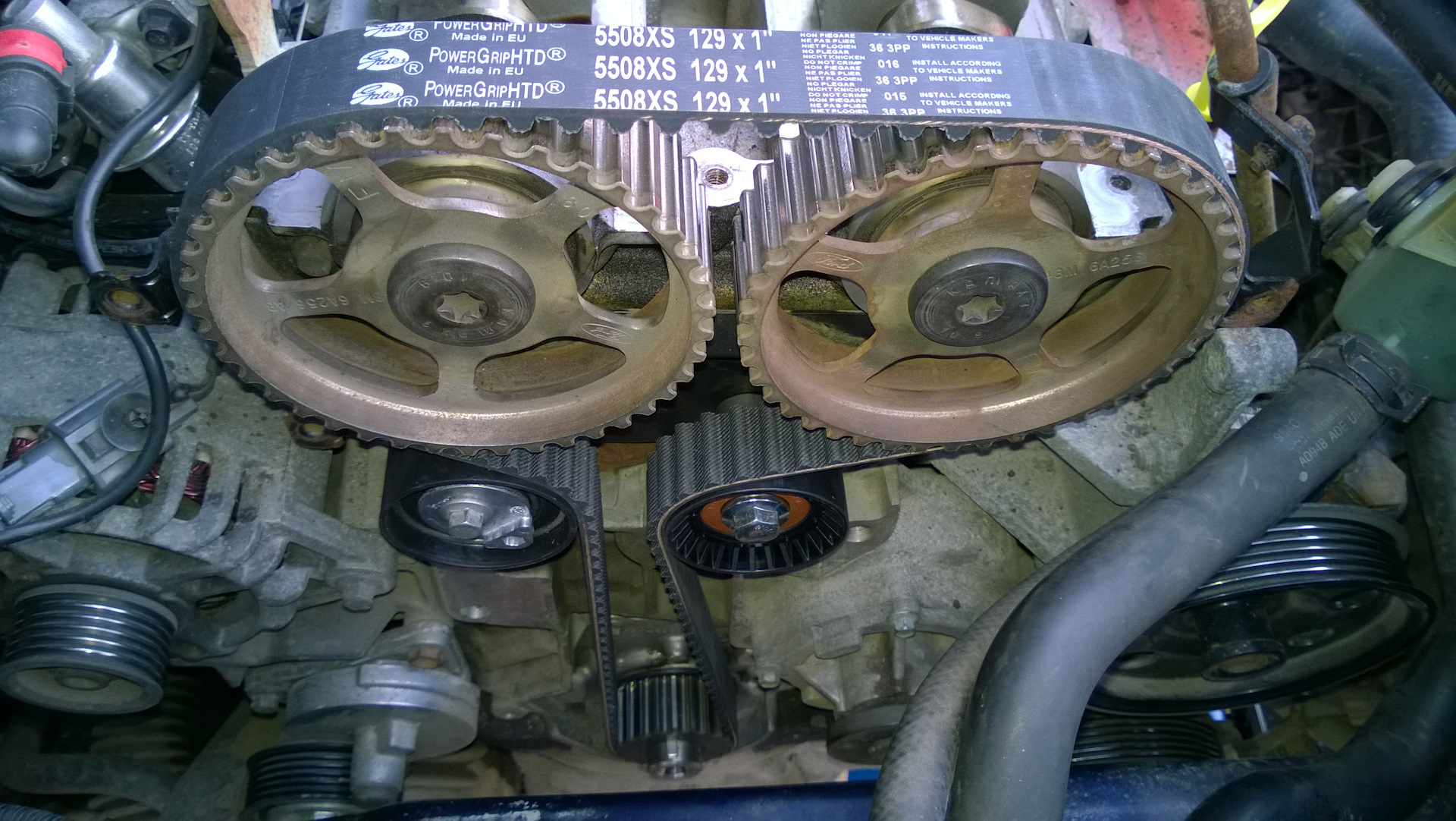 Замена ремня ГРМ в двигателе 1.6 Ford Focus 2