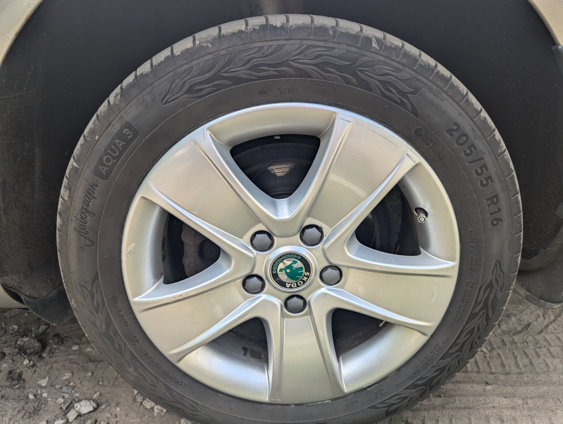 Шины на лето Ikon Aqua 3 — Skoda Octavia A5 Mk2, 1,4 л, 2012 года ...
