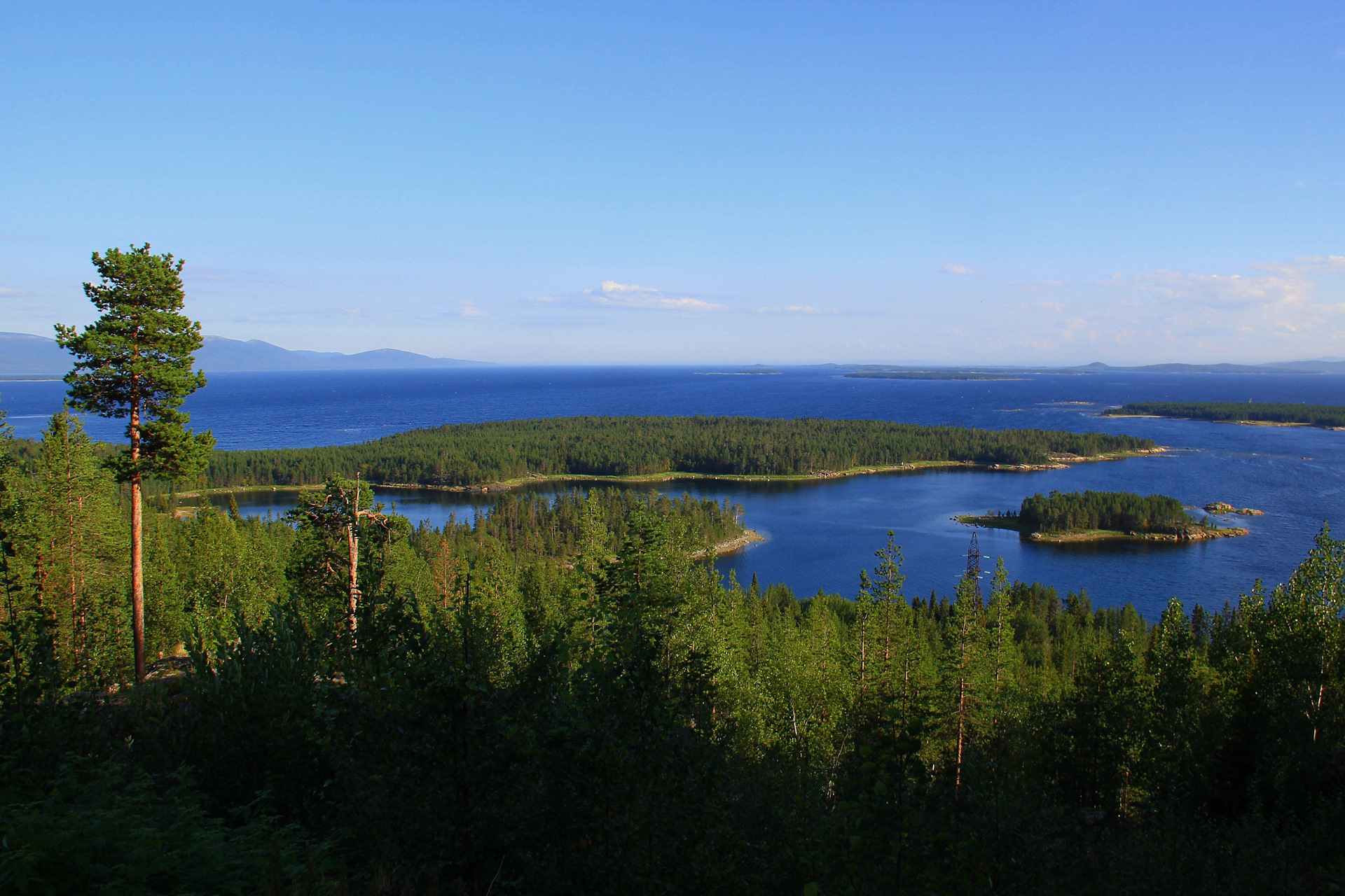 Питкуля