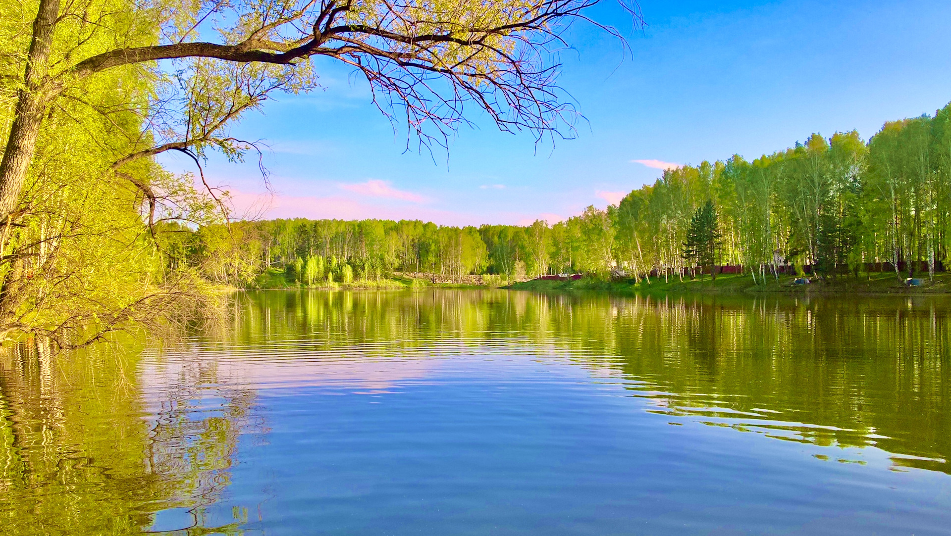 Серебряное озеро Академгородок