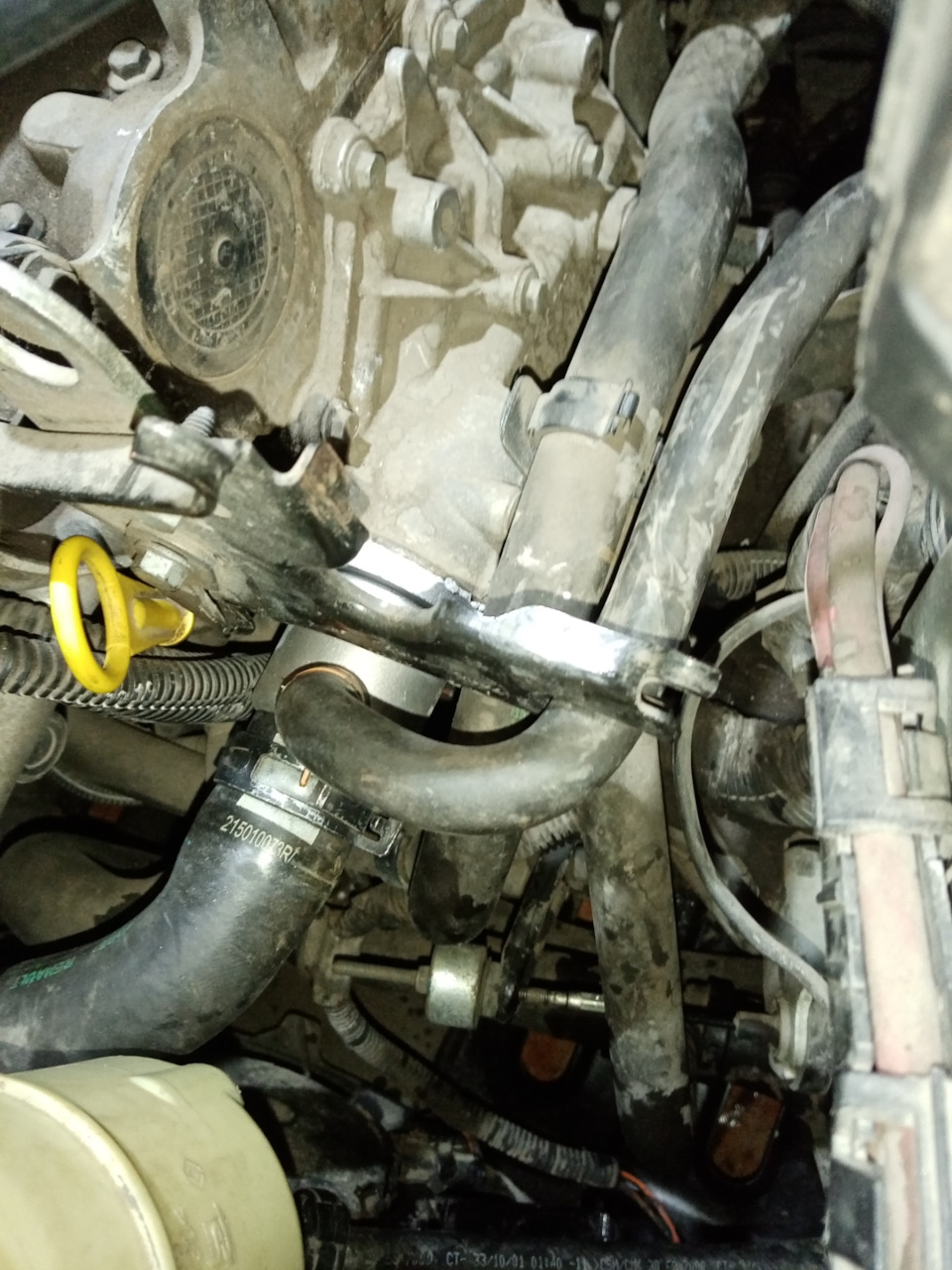 215010073R Шланг подводящий радиатора RENAULT | Запчасти на DRIVE2