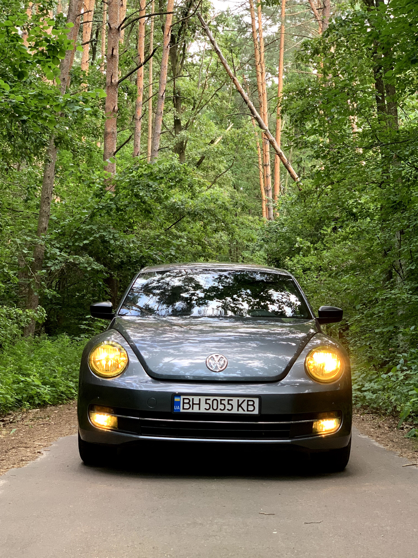 Желтые фары и птф, прям как ПОРШЕ — Volkswagen Beetle (A5), 1,8 л, 2015 ...