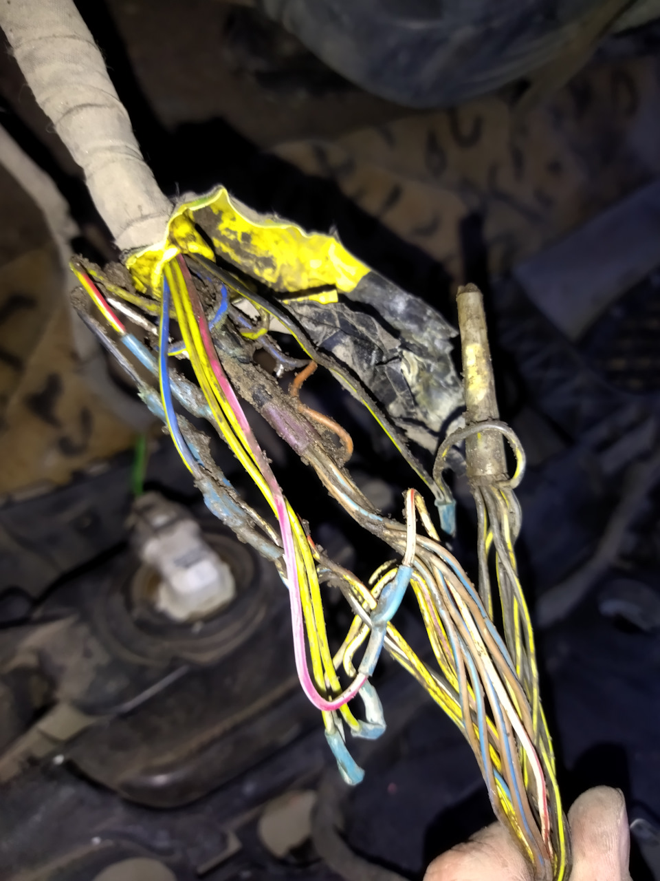 Ремонт парктроников (PTS) CL203 день 2 — Mercedes-Benz C-class ...