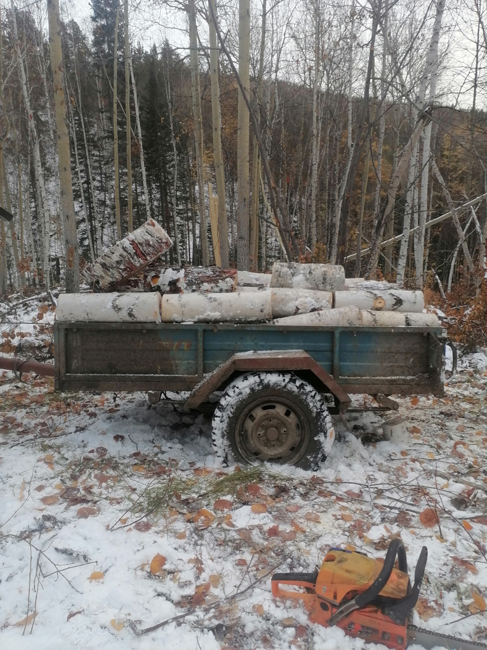 В лес по дрова, фото разных лет — Lada 4x4 3D, 1,6 л, 1985 года |  путешествие | DRIVE2