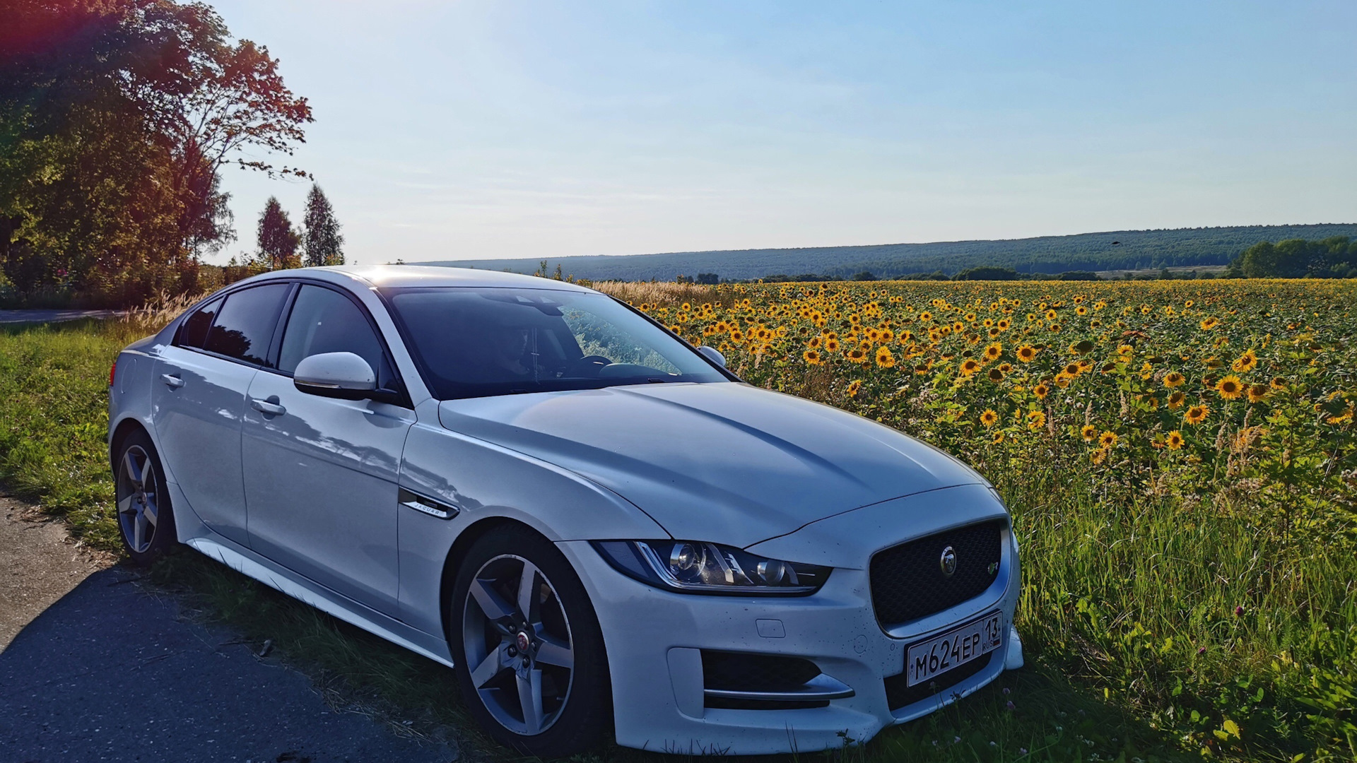 Jaguar XE 2.0 бензиновый 2015 | R-sport Белый кот😏 на DRIVE2