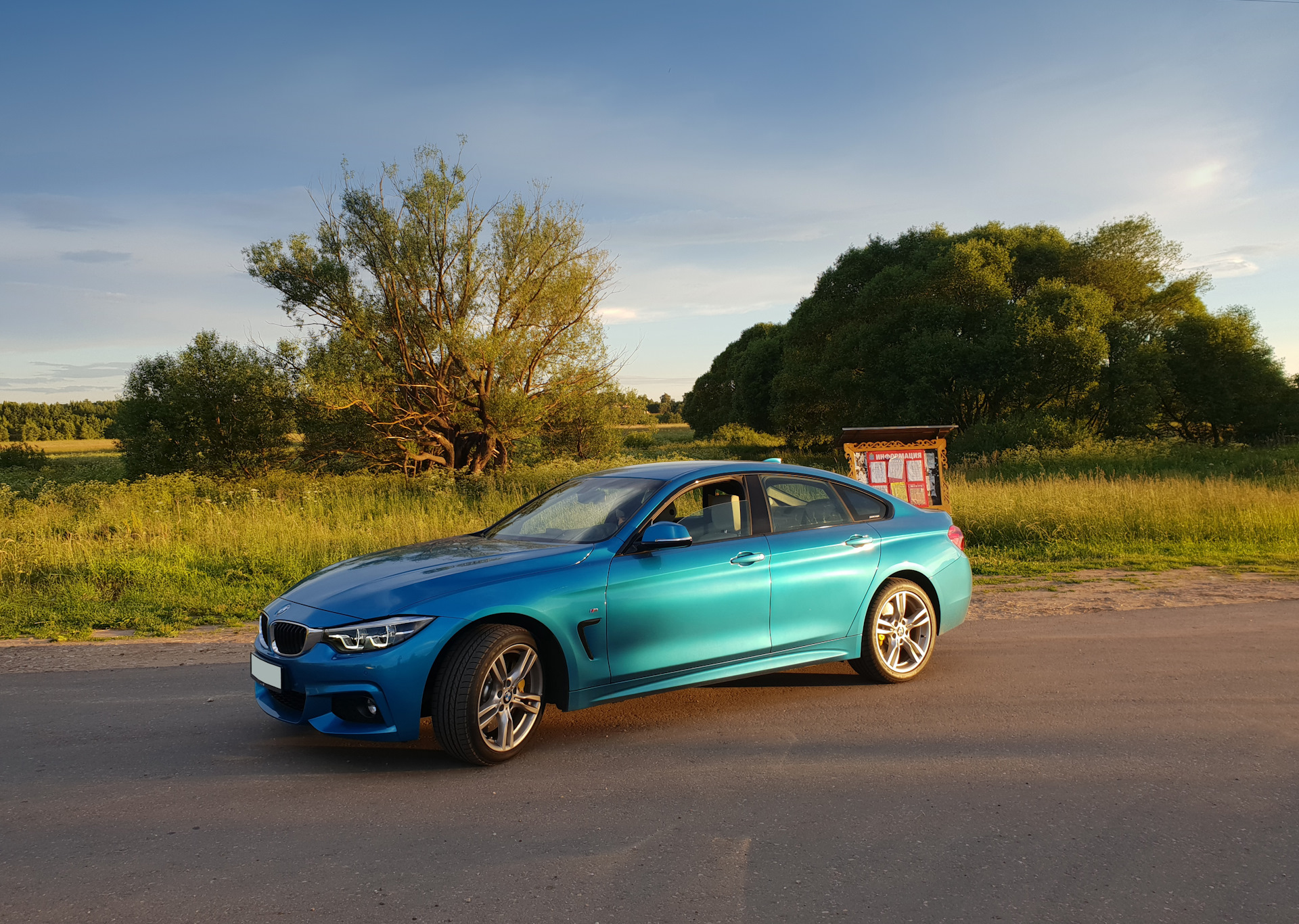 Snapper Rocks Blue BMW