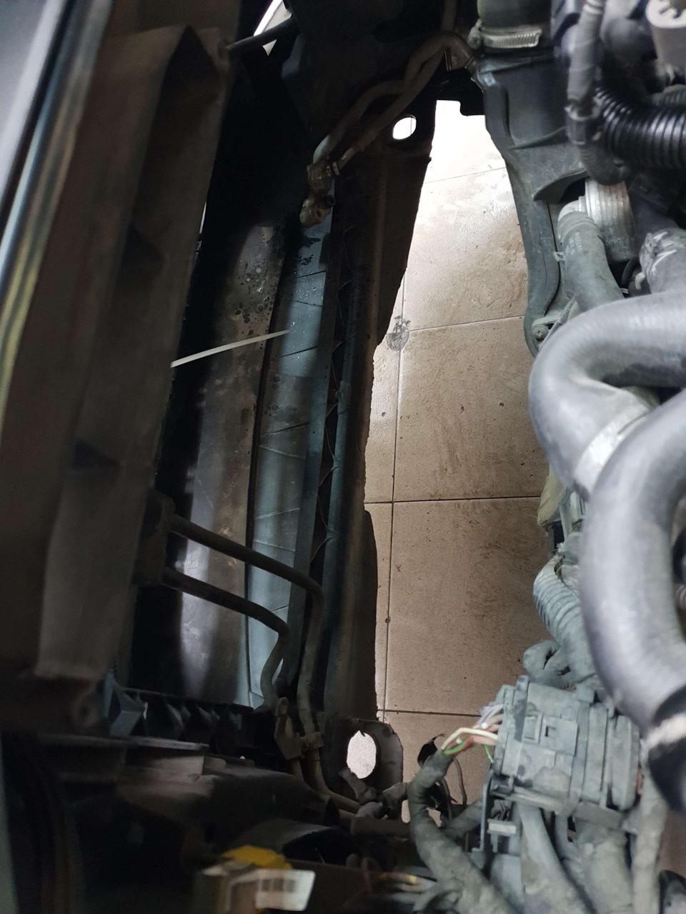 юампер и телевизор не снимали — Volkswagen Passat B6