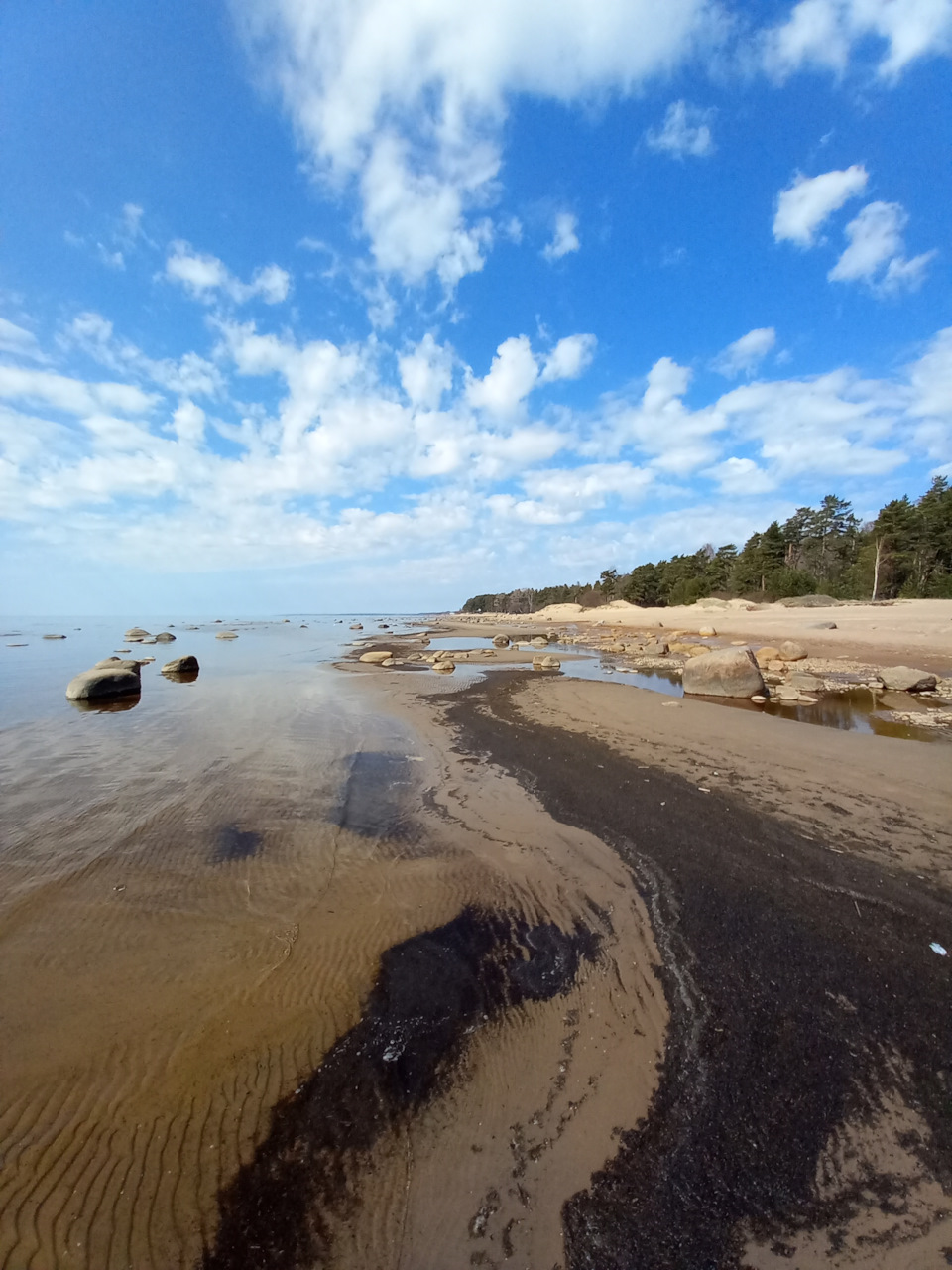 Фото в бортжурнале Renault Sandero 2G