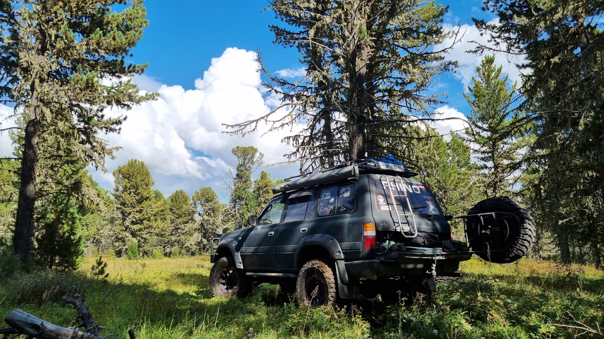 Ночью все кошки волки — Toyota Land Cruiser 80, 4,5 л, 1995 года | просто  так | DRIVE2