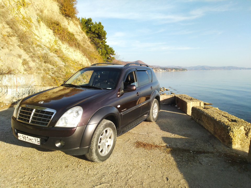 Rexton 2009. SSANGYONG Rexton 2009. ССАНГЙОНГ Рекстон 2009. Рекстон 2009 коричневый.