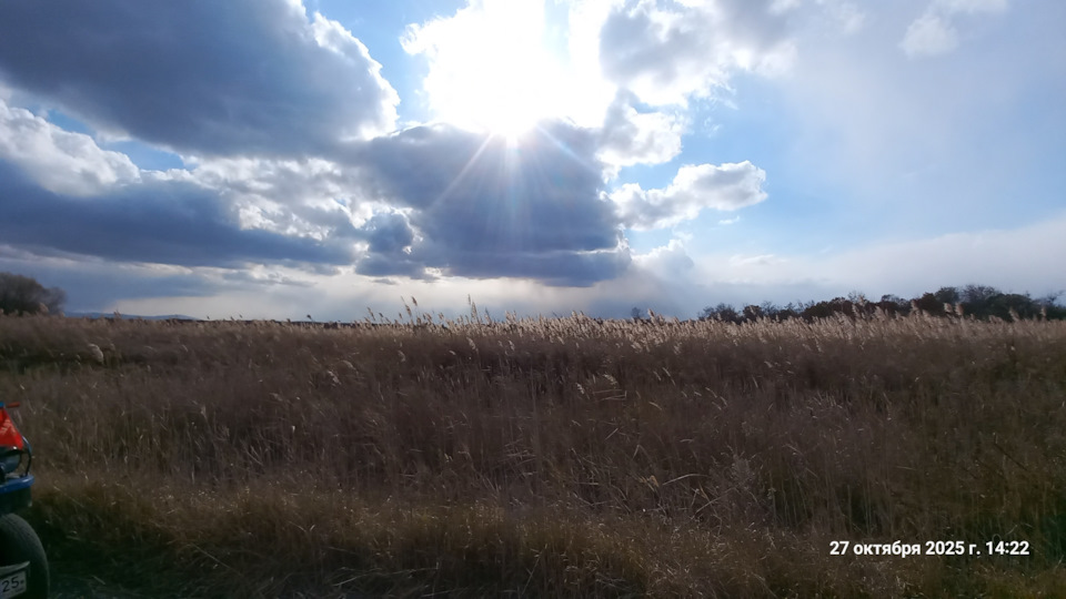 Фото в бортжурнале Willys MB