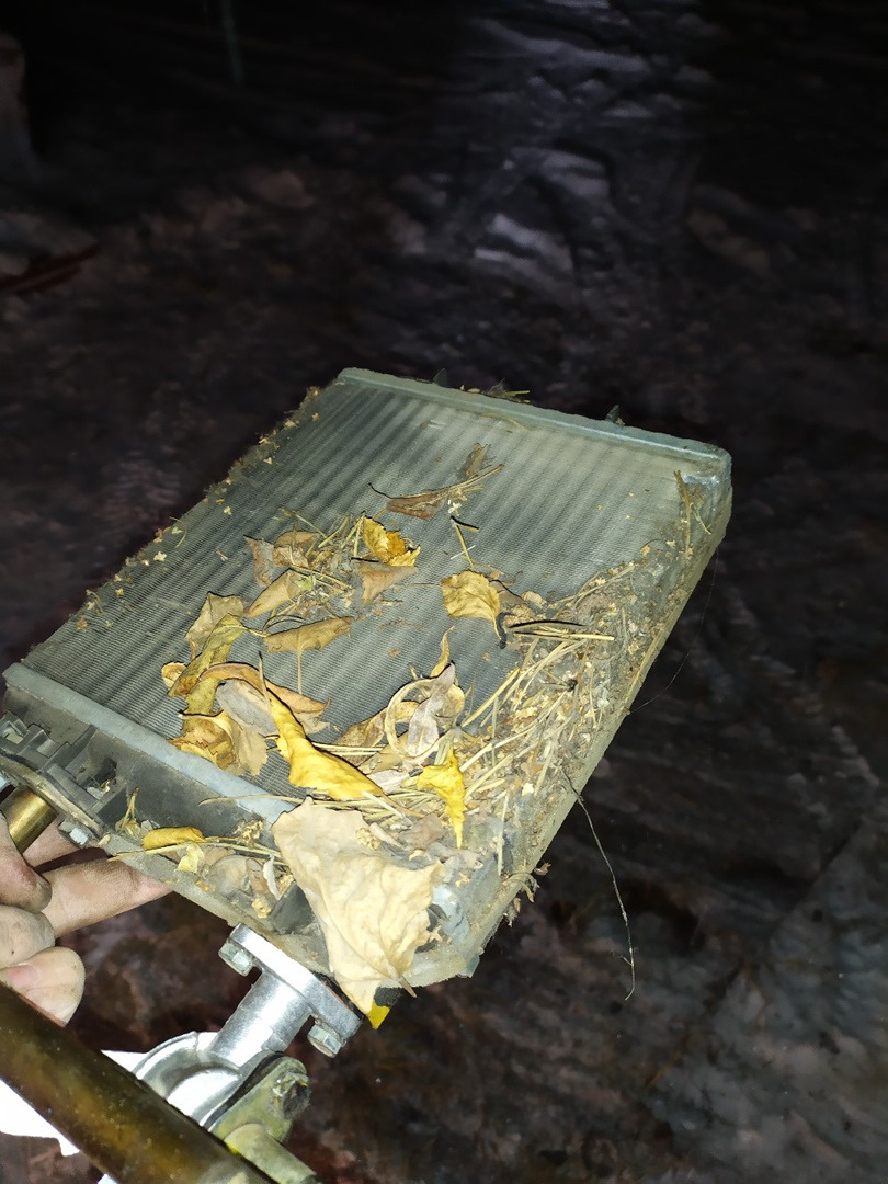 Замена АКБ, свечей зажигания, радиатора печки, краника, тосола — Lada ...