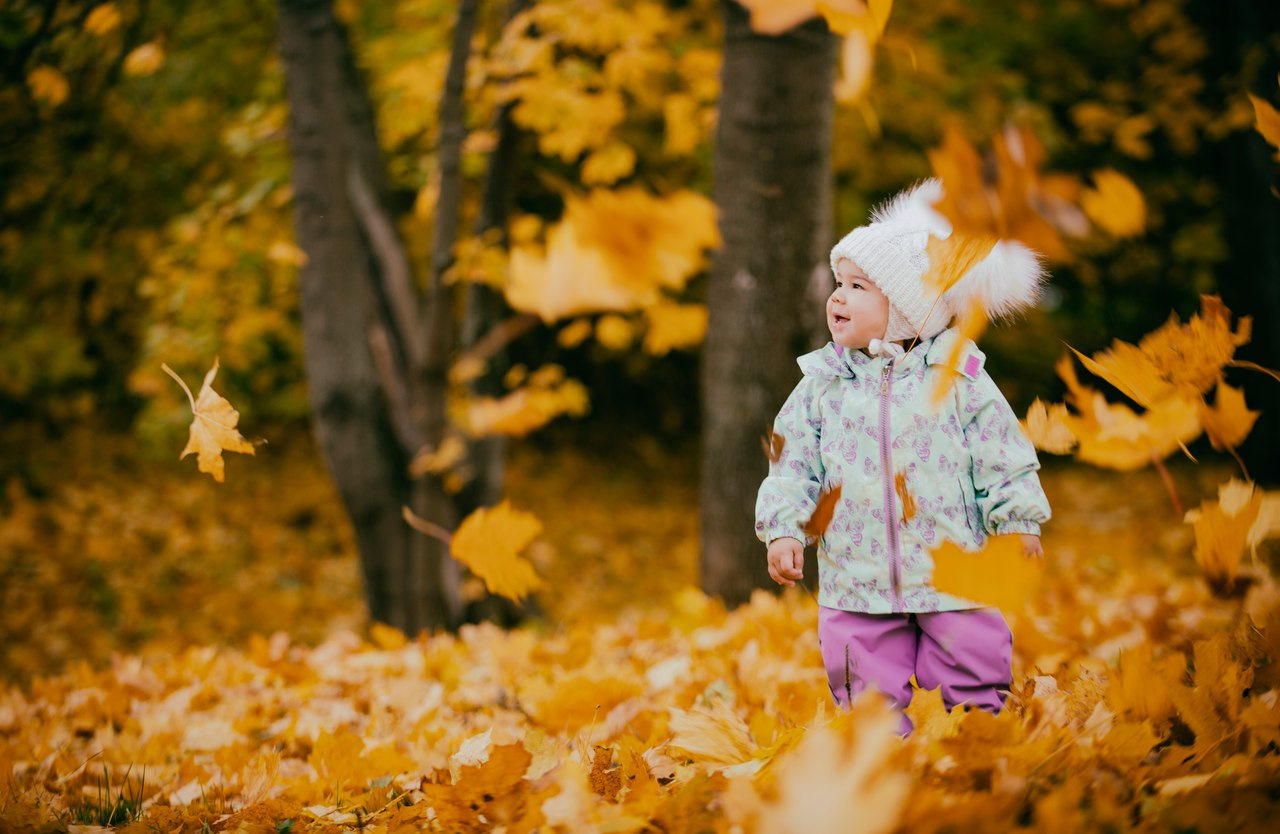 осенний кремль великий новгород. золотая осень в нижнем новгороде. осень выдалась. золотая осень нижний тагил. золотая осень в нижнем новгороде.