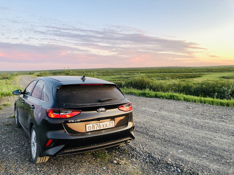 Лампочки, номерные рамки RCS, упоры капота, регистратор к плафону — KIA ...