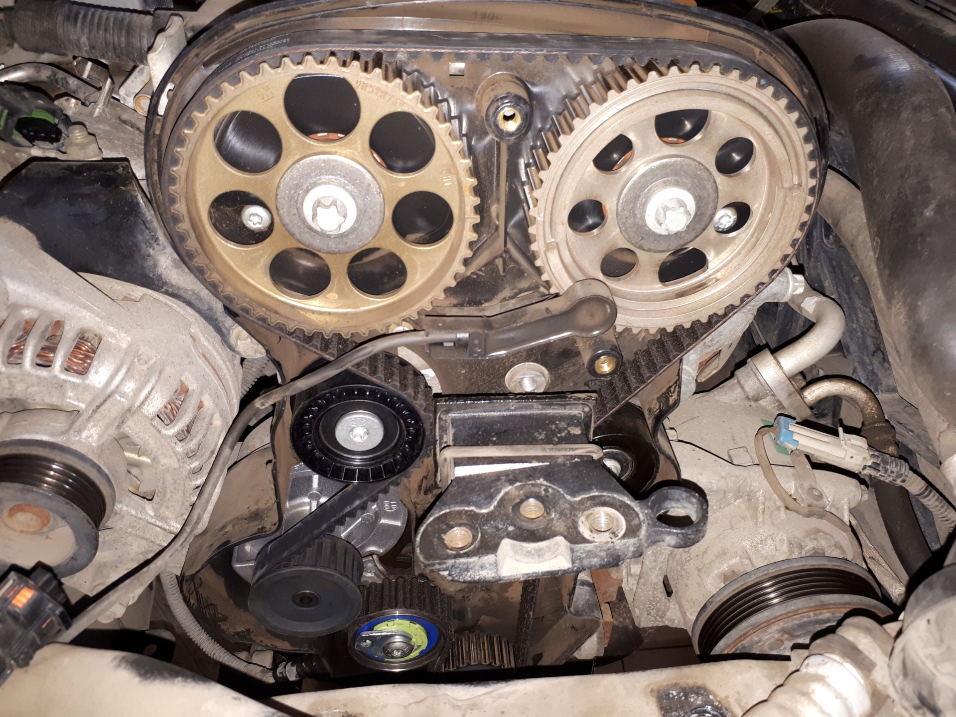 Стоимость Ремня Грм Шевроле Авео