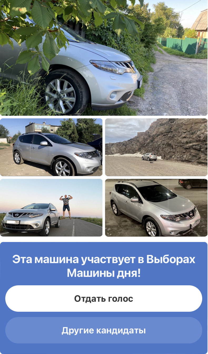 Мой кабан на выборах ✓😳, да ладно 😮🔥😀 — Nissan Murano II, 3,5 л, 2012  года | наблюдение | DRIVE2