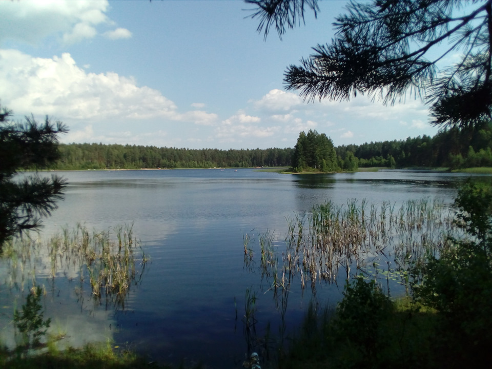 Принудительное охлаждение — ГАЗ Газель, 2,3 л, 2006 года | своими ...