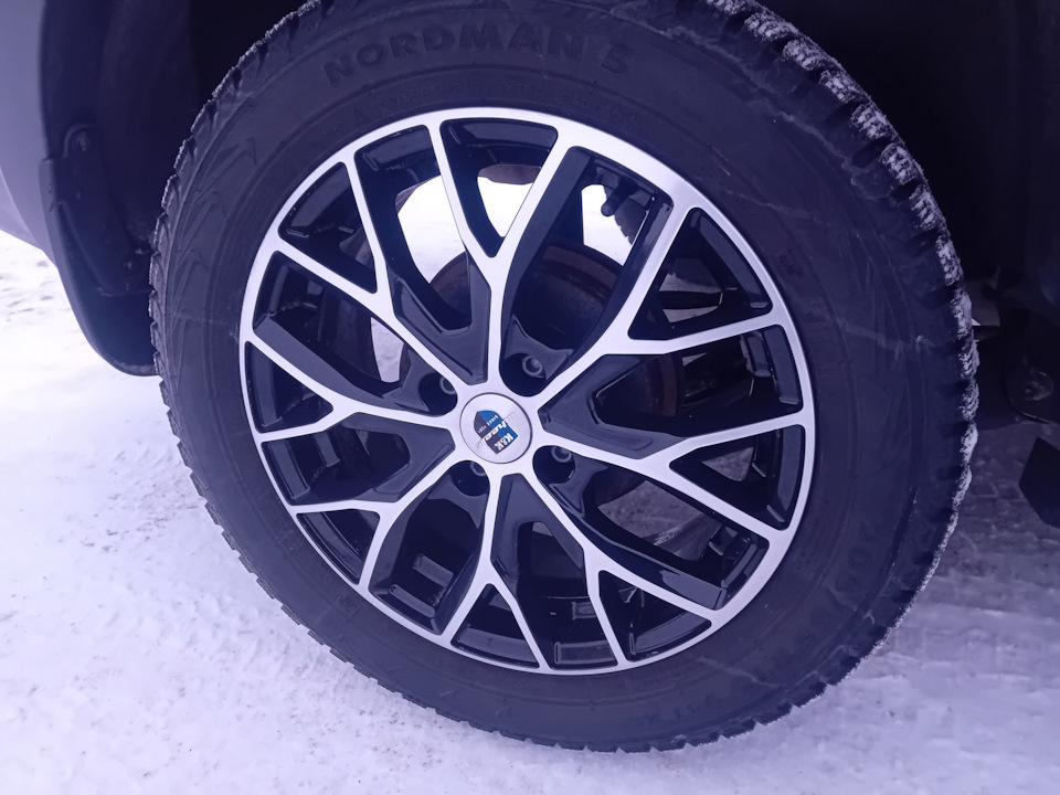 Фото в бортжурнале Renault Logan Stepway