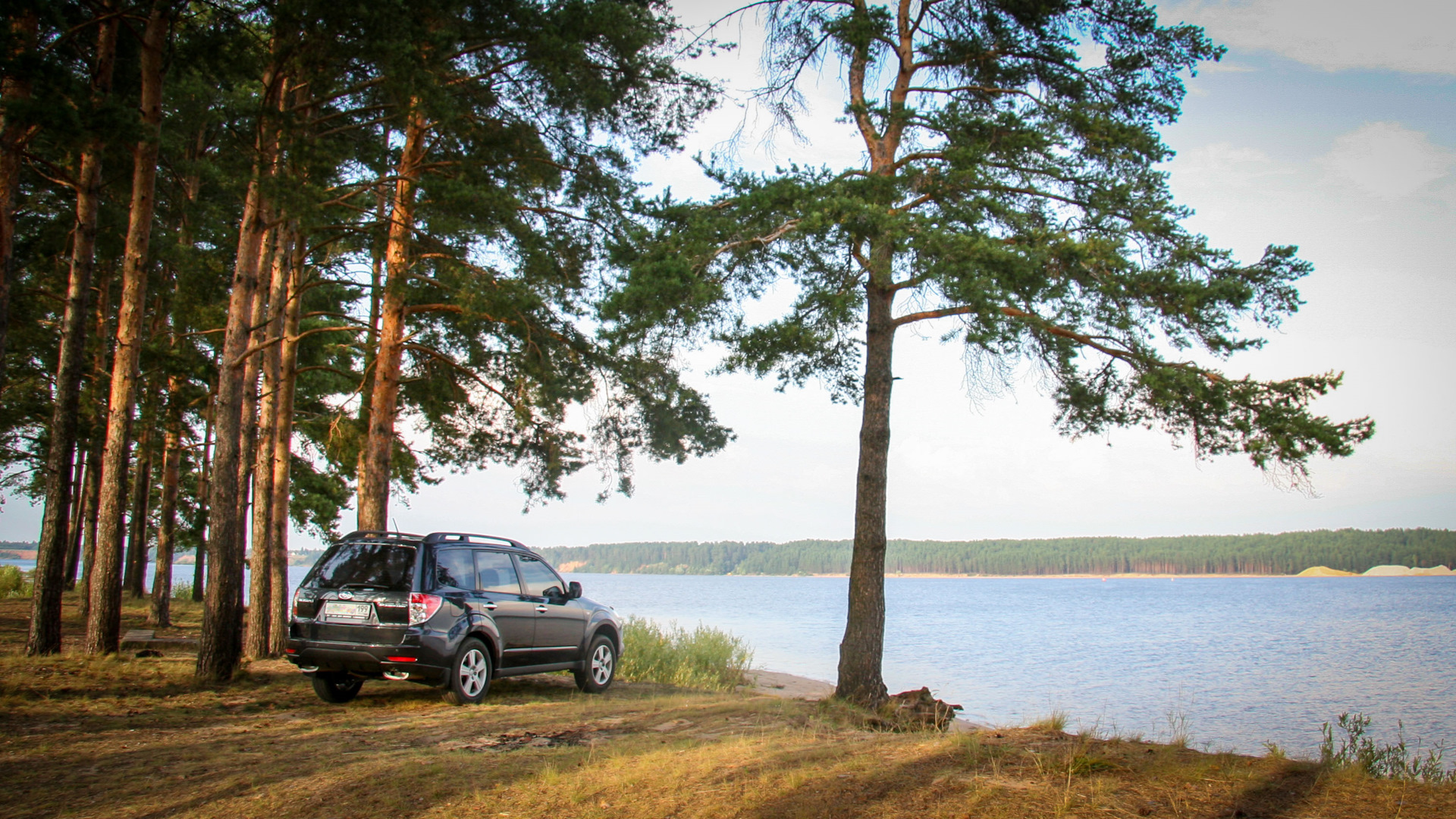 Subaru Forester (SH) 2.0 бензиновый 2008 | Frank (Francis) на DRIVE2