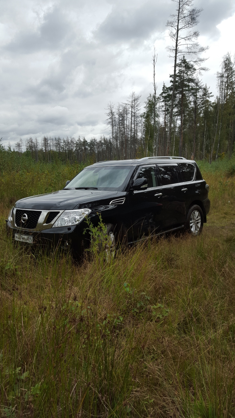 Как я патруль покупал. — Nissan Patrol (Y62), 5,6 л, 2012 года | покупка  машины | DRIVE2