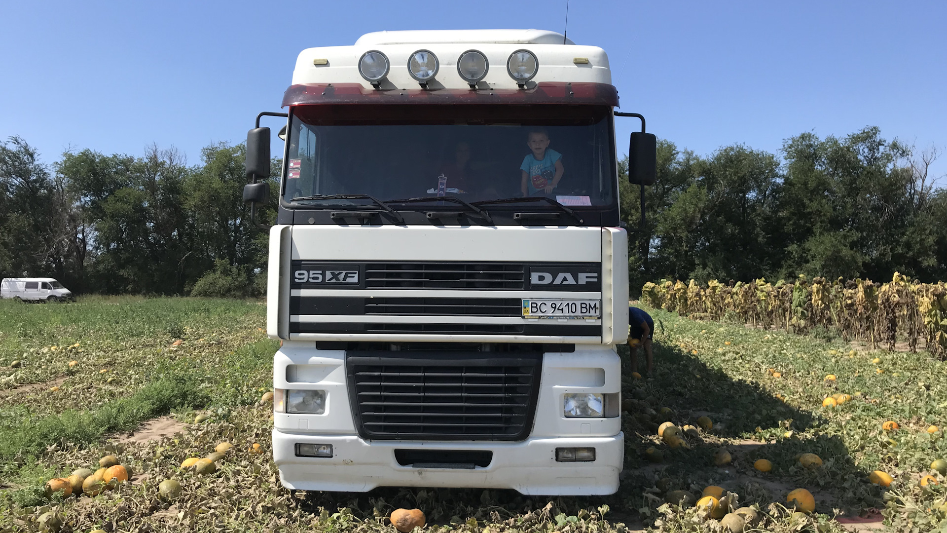 Фото daf 95