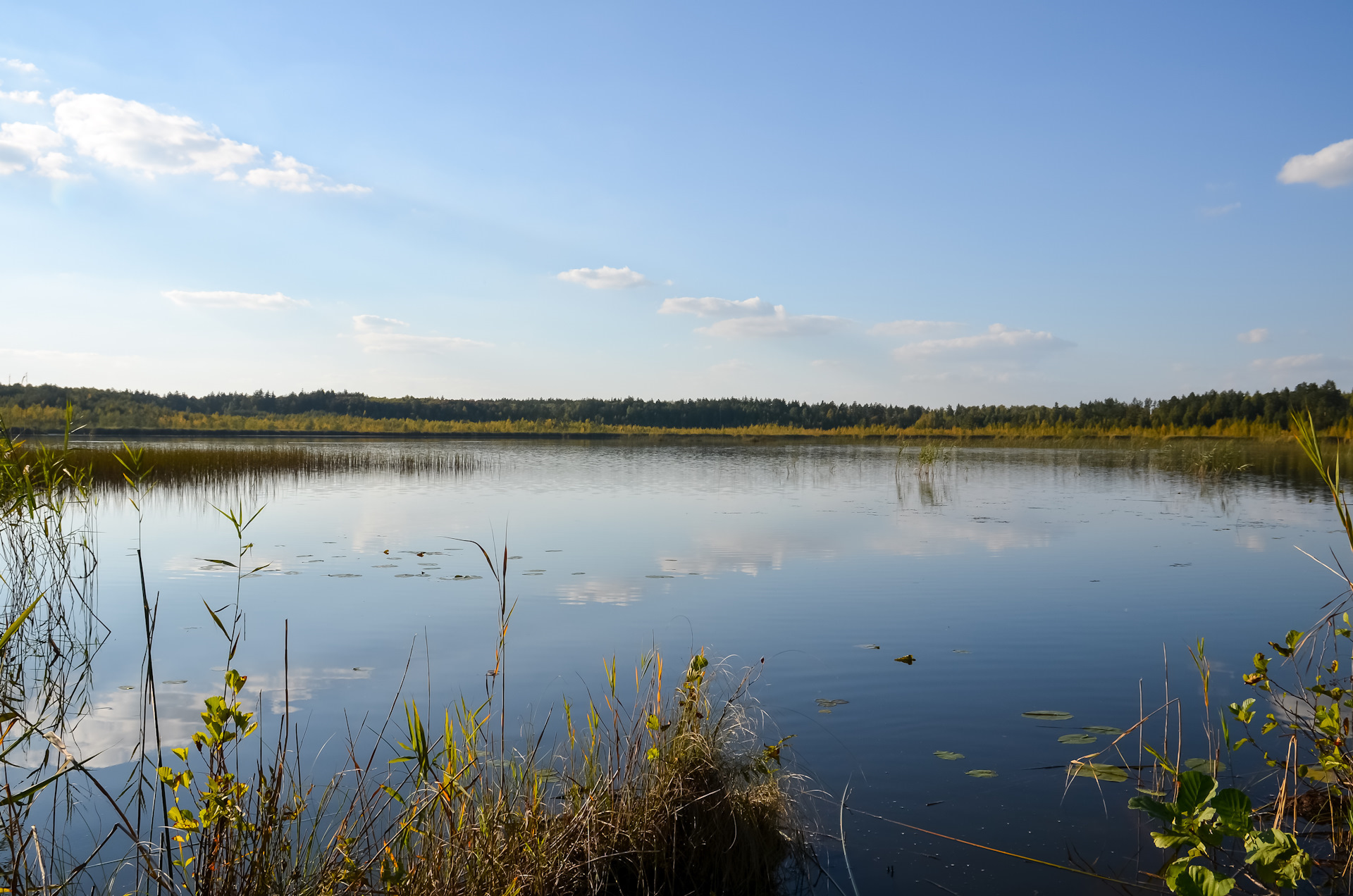 Озеро Крячек Барышский