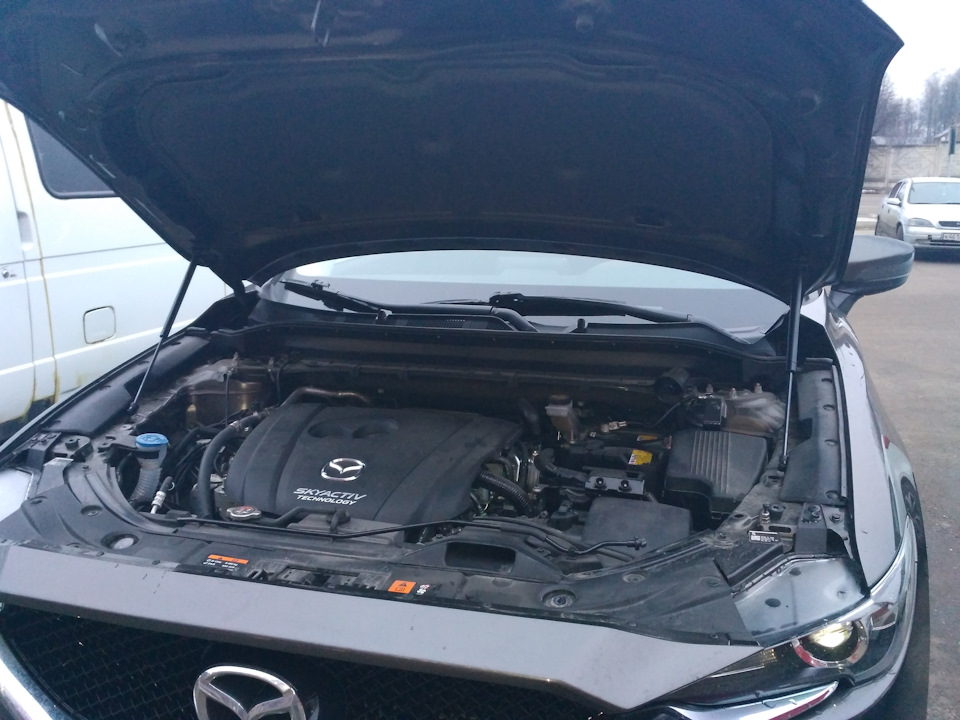 Уплотнитель капота Mazda CX-5. Упор капота CX-5. Мазда CX 5 II газовые упоры капота.