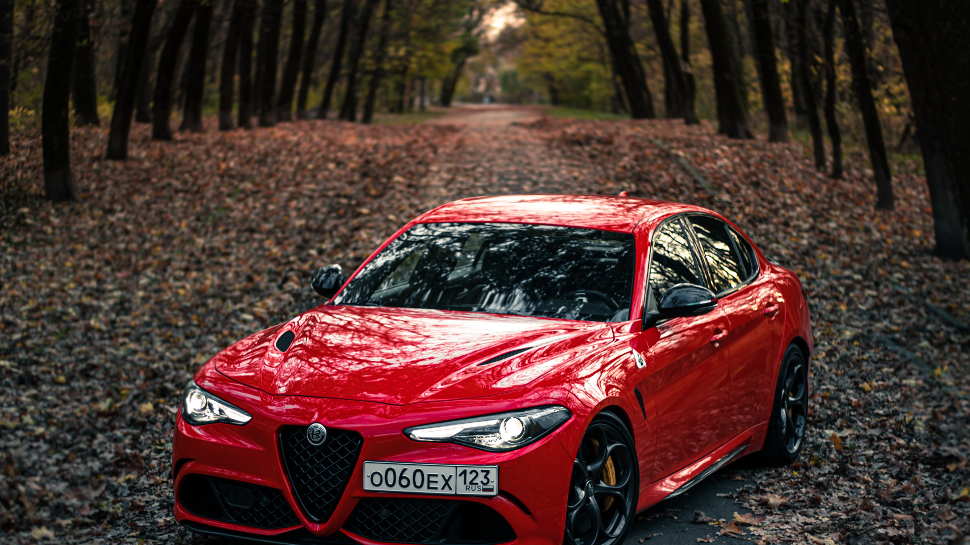 Alfa Romeo Giulia (952) 2.9 бензиновый 2018 | Долгожданная на DRIVE2