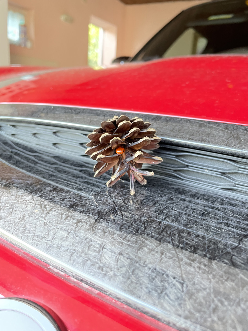 Фото в бортжурнале MINI John Cooper Works