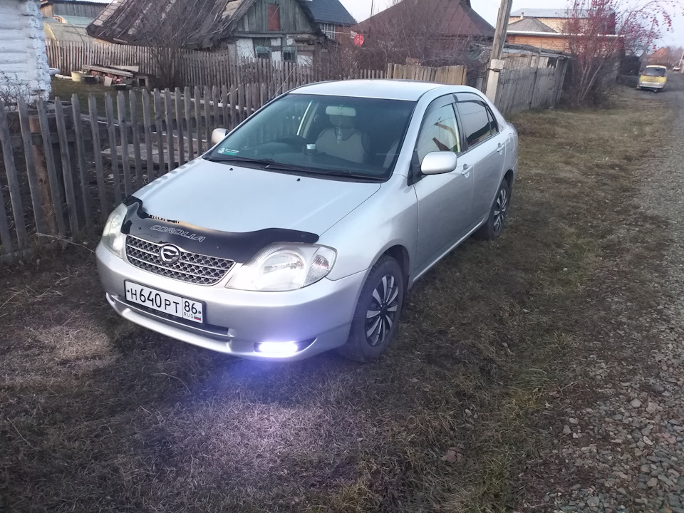 Расход тойота королла 120. Королла 120 к 16. Клыки Toyota Corolla 120. Тойота Королла 120 желтая. Toyota Corolla 120 темные фары.