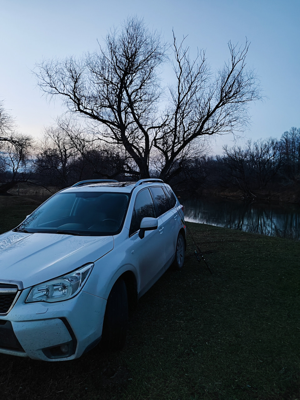 Замена масла в CVT. Много букв… — Subaru Forester (SJ), 2 л, 2012 года |  визит на сервис | DRIVE2