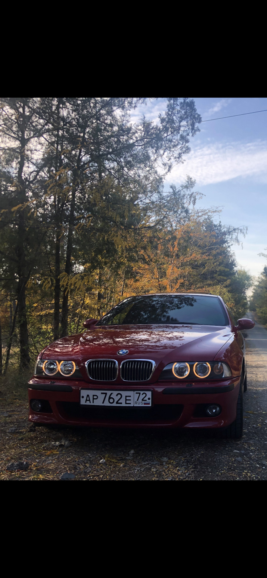 Эволюция мечты — BMW M5 (E39), 5 л, 2000 года | другое | DRIVE2