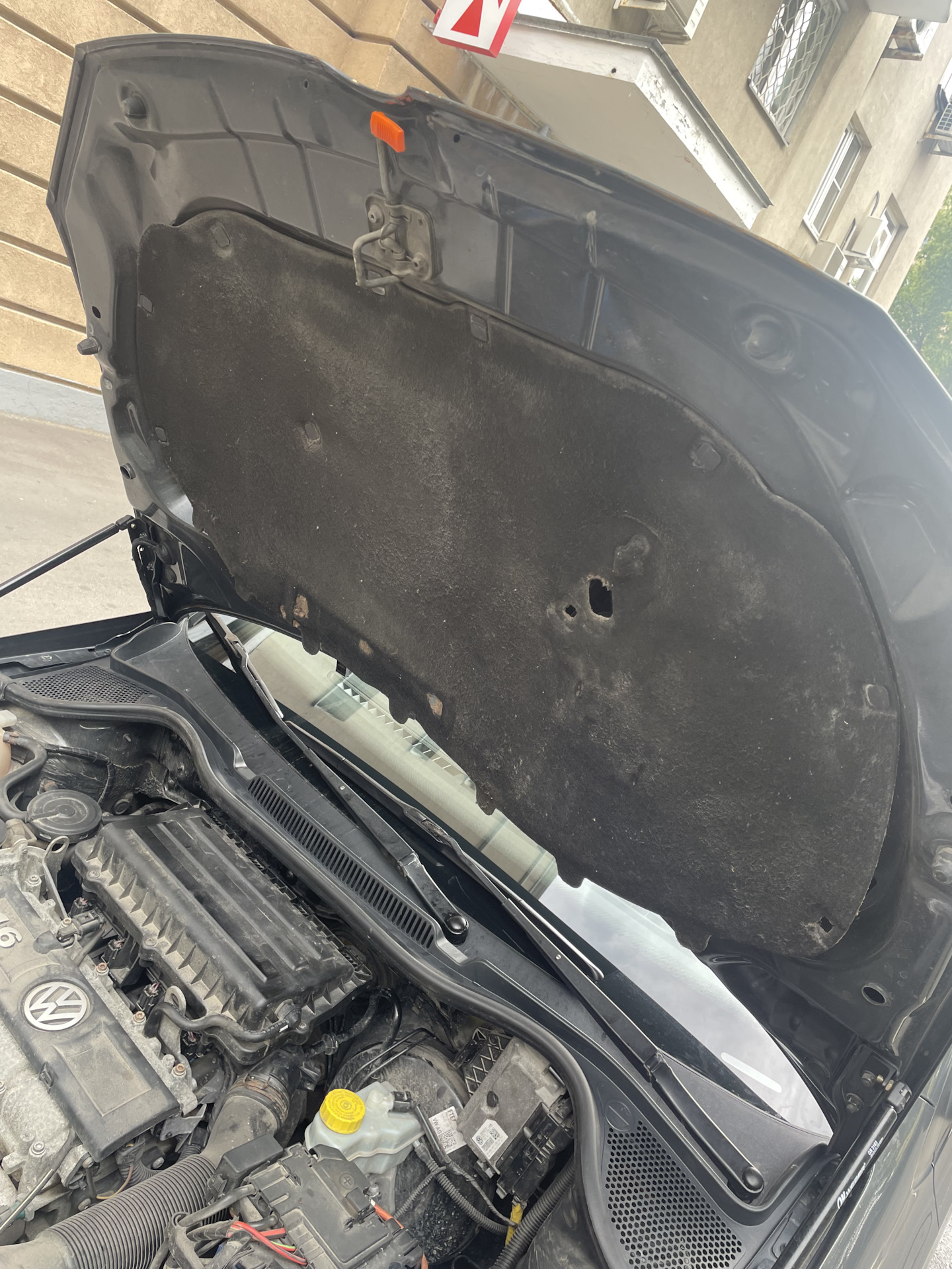 Клипсы крепления обшивки капота — Volkswagen Polo Sedan, 1,6 л, 2011 ...