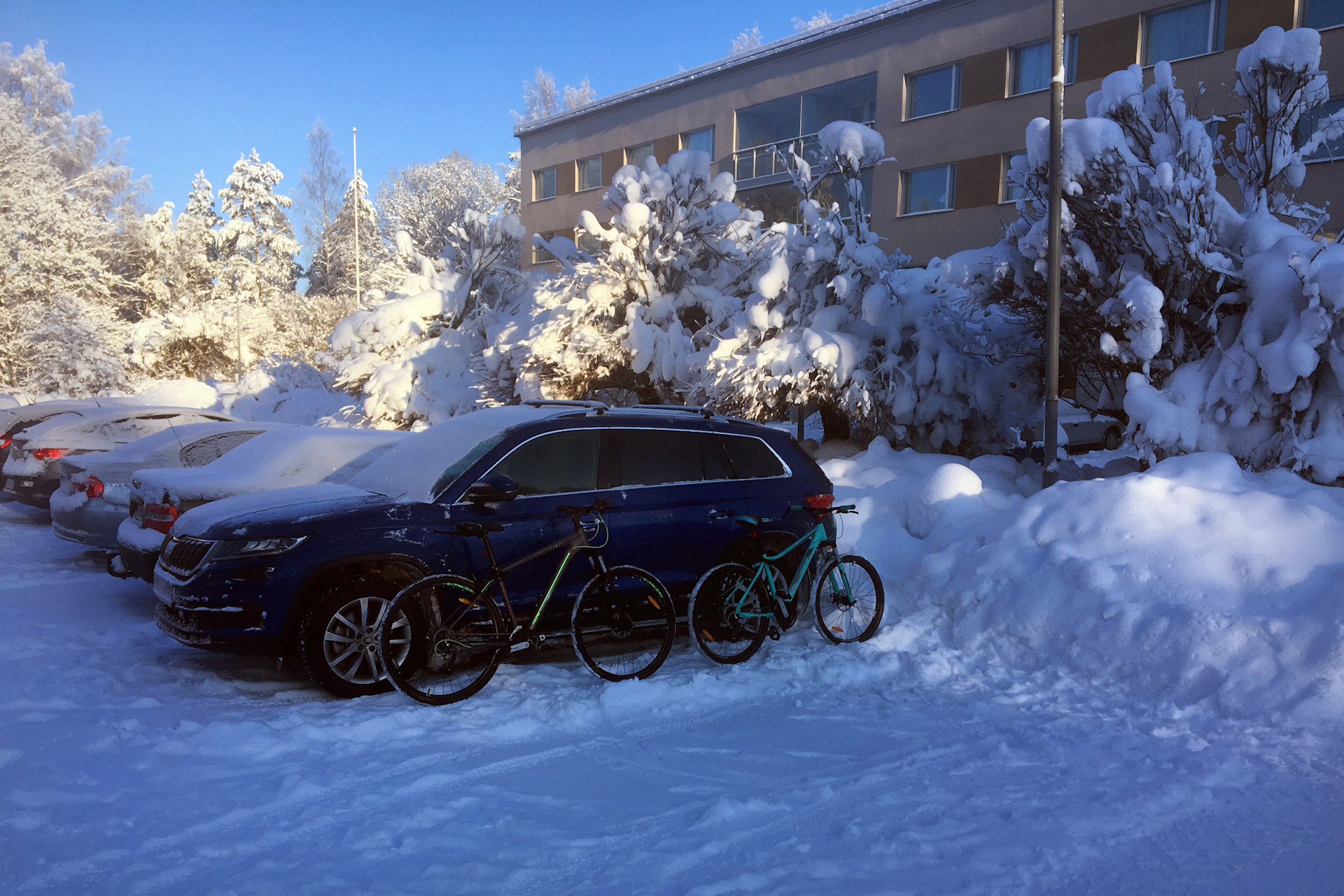 Медвежья жизнь за бугром [2] Велосипеды — Skoda Kodiaq, 2 л, 2018 года |  путешествие | DRIVE2