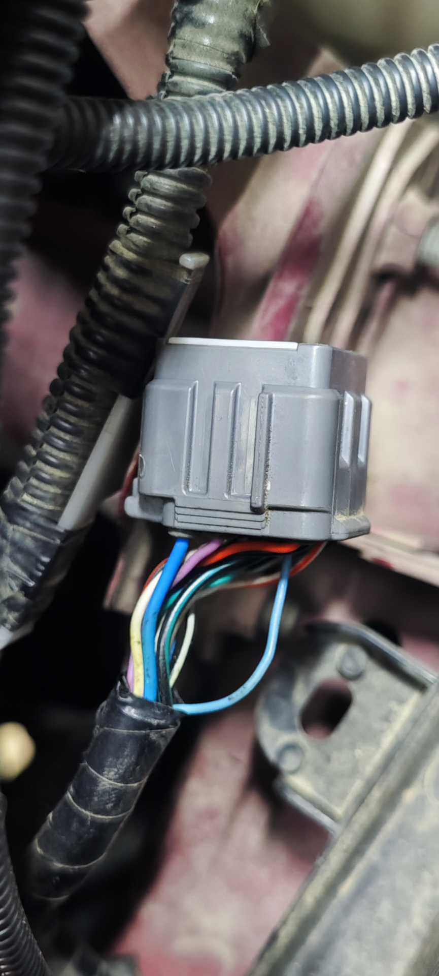 9. Подключение ангельских глазок в ПТ к габаритам — Subaru Outback (BS ...