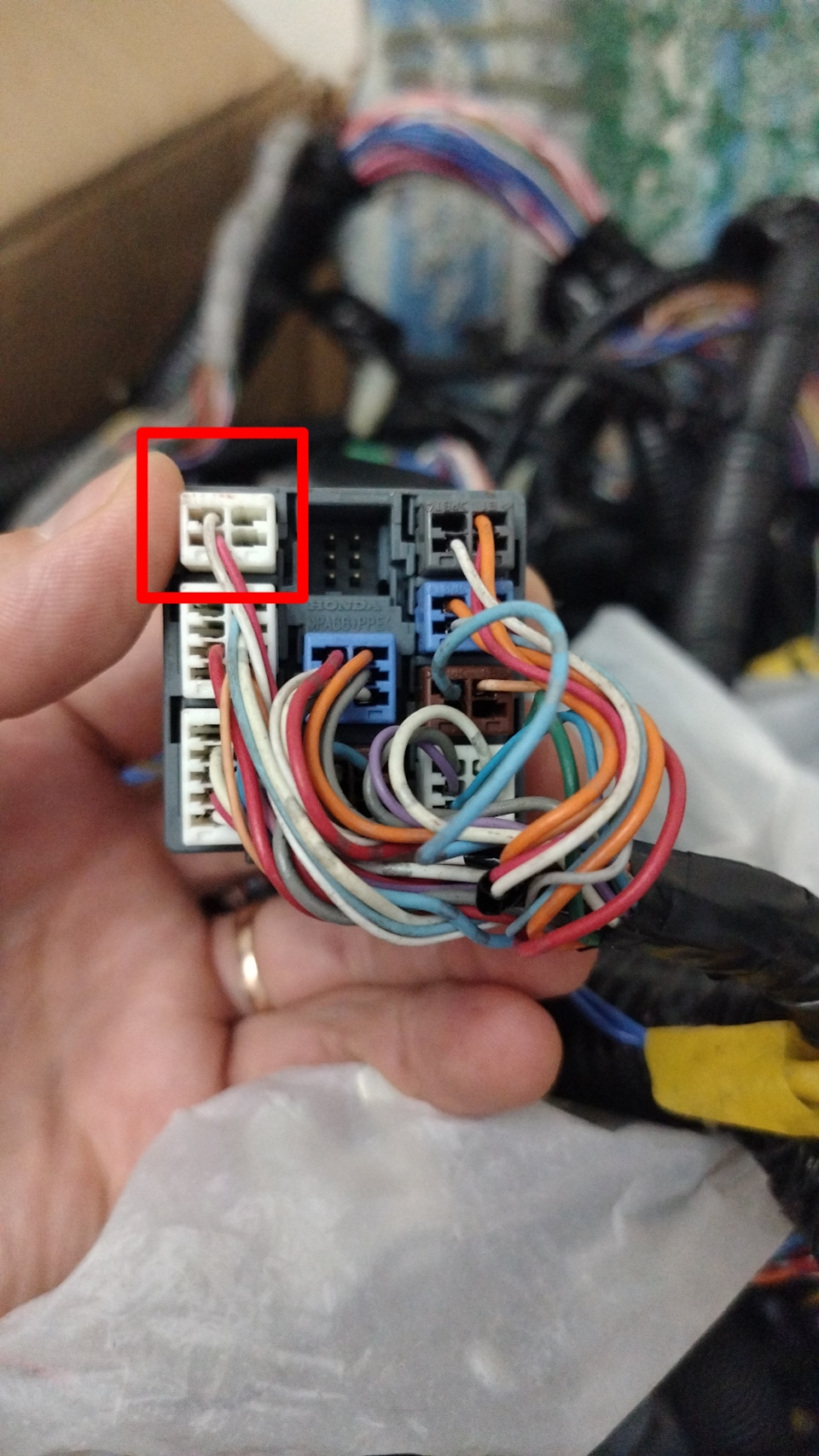 11. С этого коммутатора берем Can шину. — Honda Accord (8G)