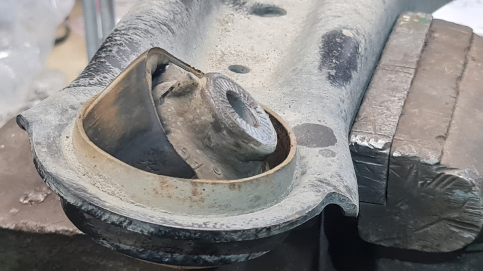 Фото в бортжурнале Skoda Kodiaq (1G)