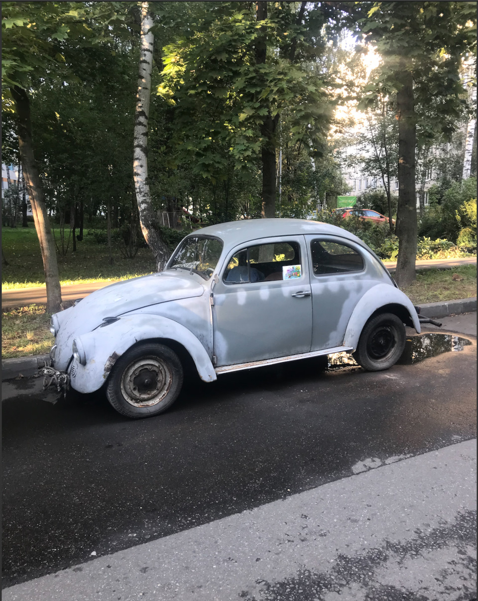 Доноры для жука — Volkswagen Kafer, 1,6 л, 1968 года | покупка машины |  DRIVE2