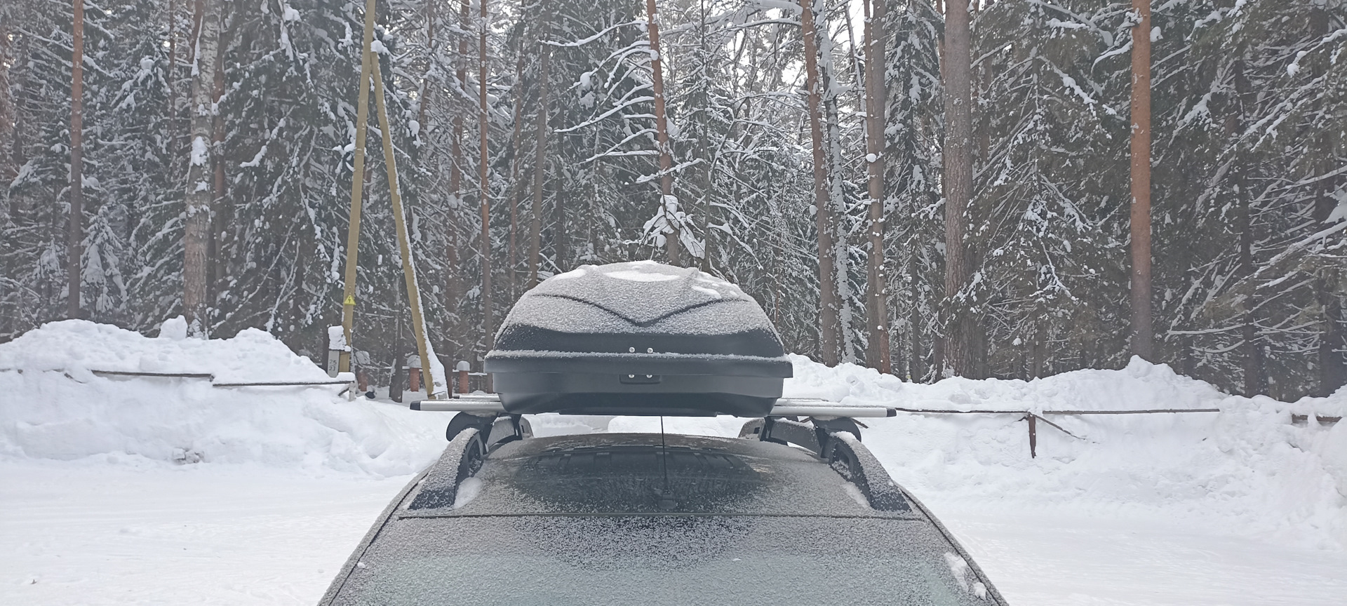 Поль синьяк автопортрет. Поль синьяк портрет феликса. Синьяк портрет феликса фенеона. Джапмаг интернет магазин японская косметика. Поль адриен морис дира́к.