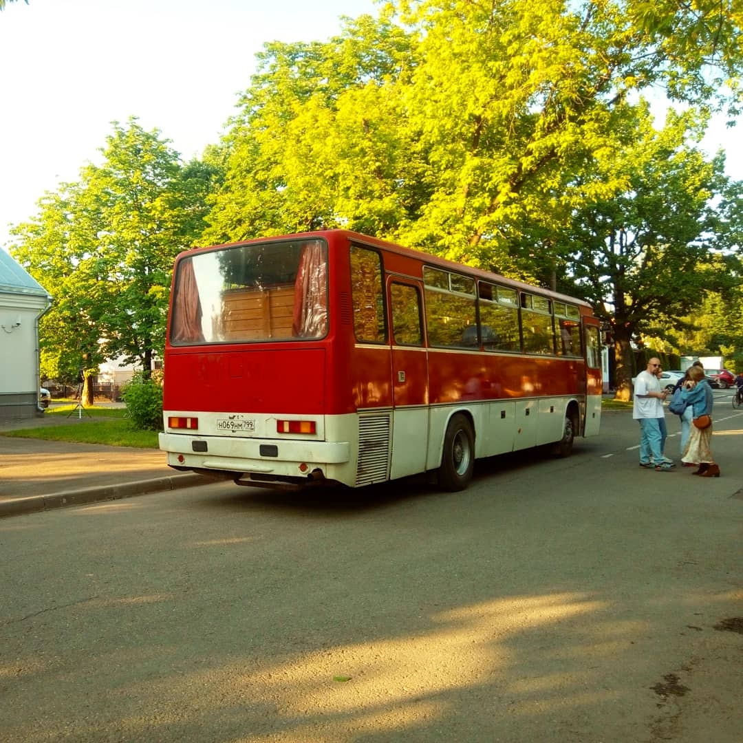 Черняховск автобусов. Икарус 256 гармошка. Ikarus 256 Гомель. Икарус 310. Икарус 245.