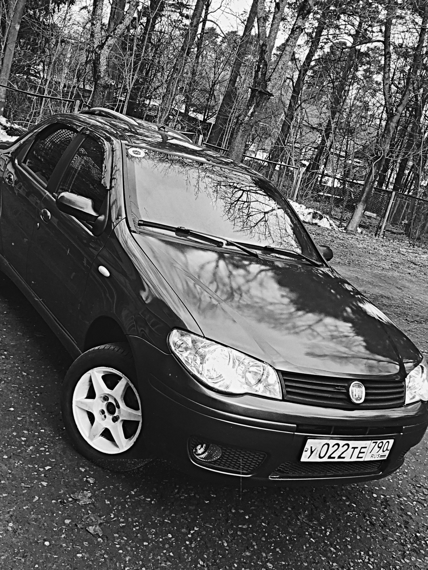 Литые диски на Фиат Альбеа — FIAT Albea, 1,4 л, 2008 года | колёсные ...
