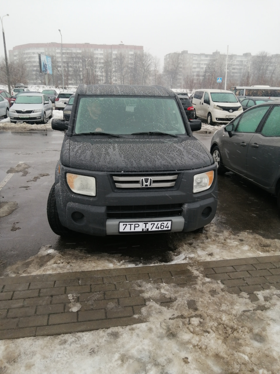 ELEMENT сменил владельца — Honda Element, 2,4 л, 2005 года | продажа машины  | DRIVE2