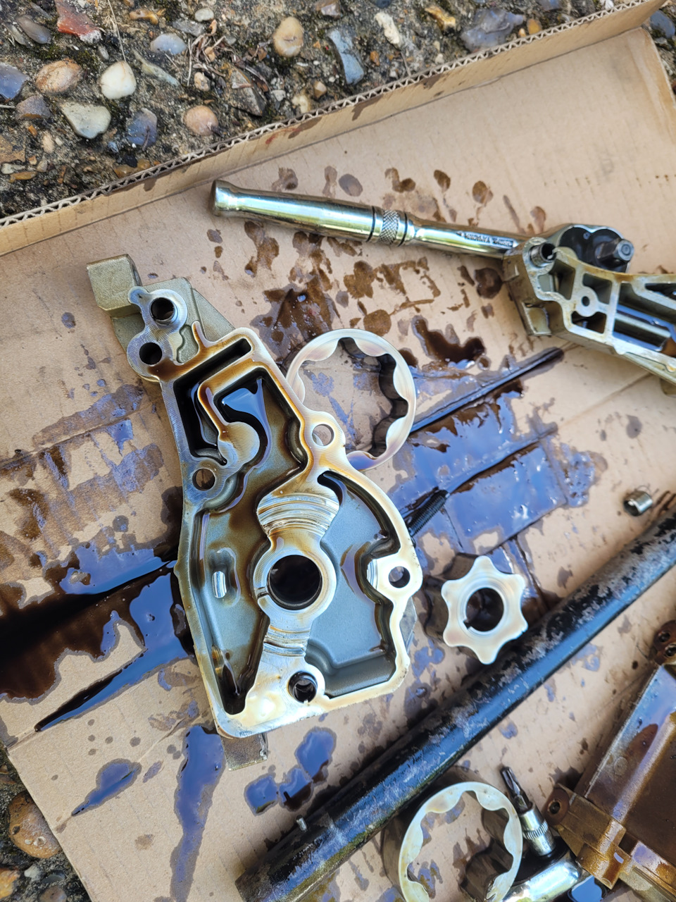 Стука нету ))) но в расширительном бачке масло(((( — BMW 1 series (E81 ...