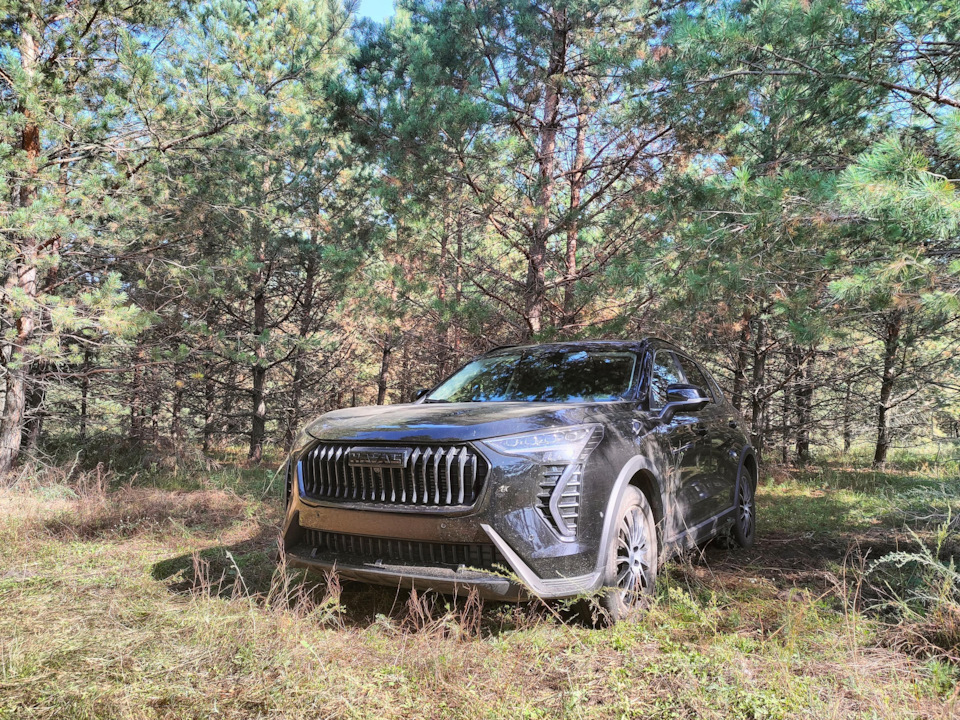 Джульберн в поисках грибов 🤣 — Haval Jolion