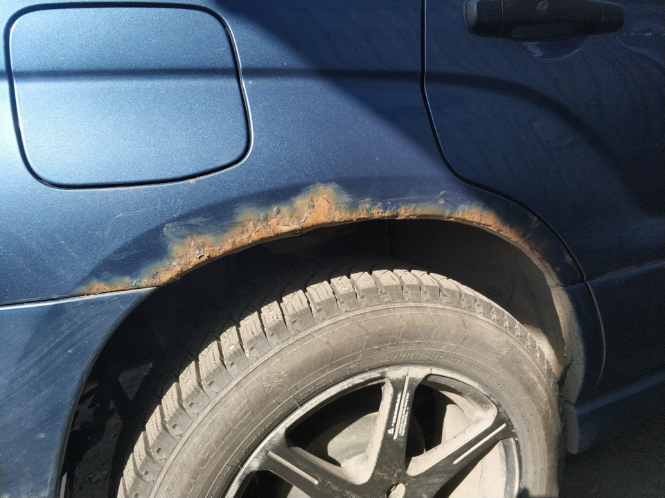 Бобры… кузовня… спасение… — Subaru Forester (SG), 2 л, 2007 года ...