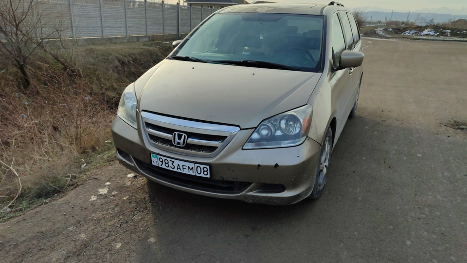 Honda Odyssey (USA) (3G) 3.5 бензиновый 2005 | Дуся на DRIVE2