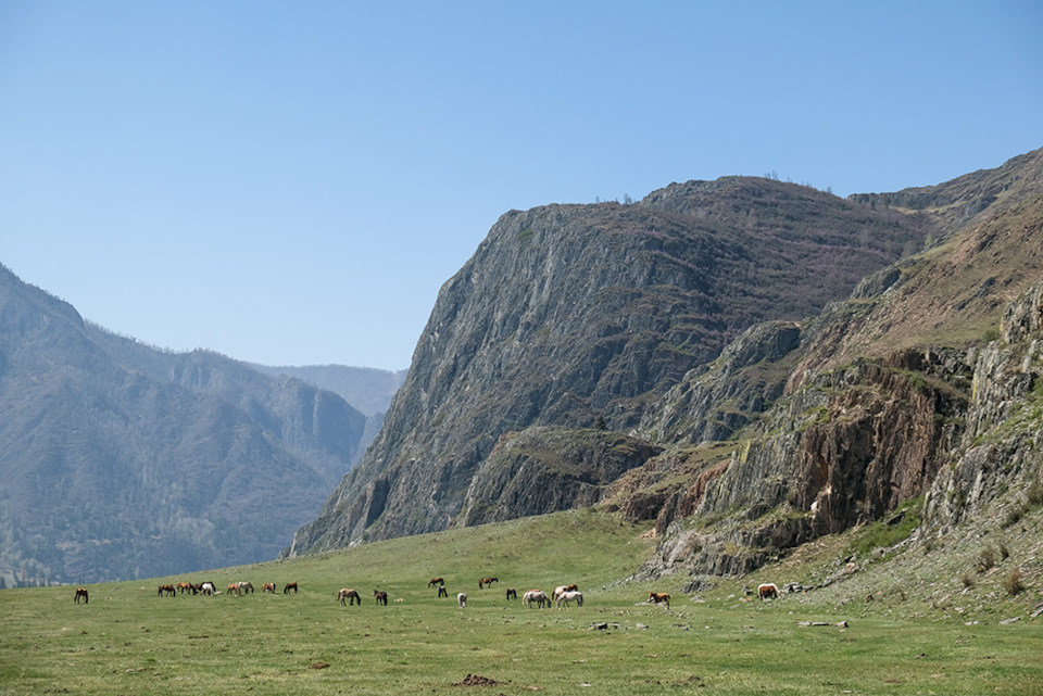 v5fA9 5aXaWtdIIhIdtR0WirDHk 960 Луна на алтае как добраться