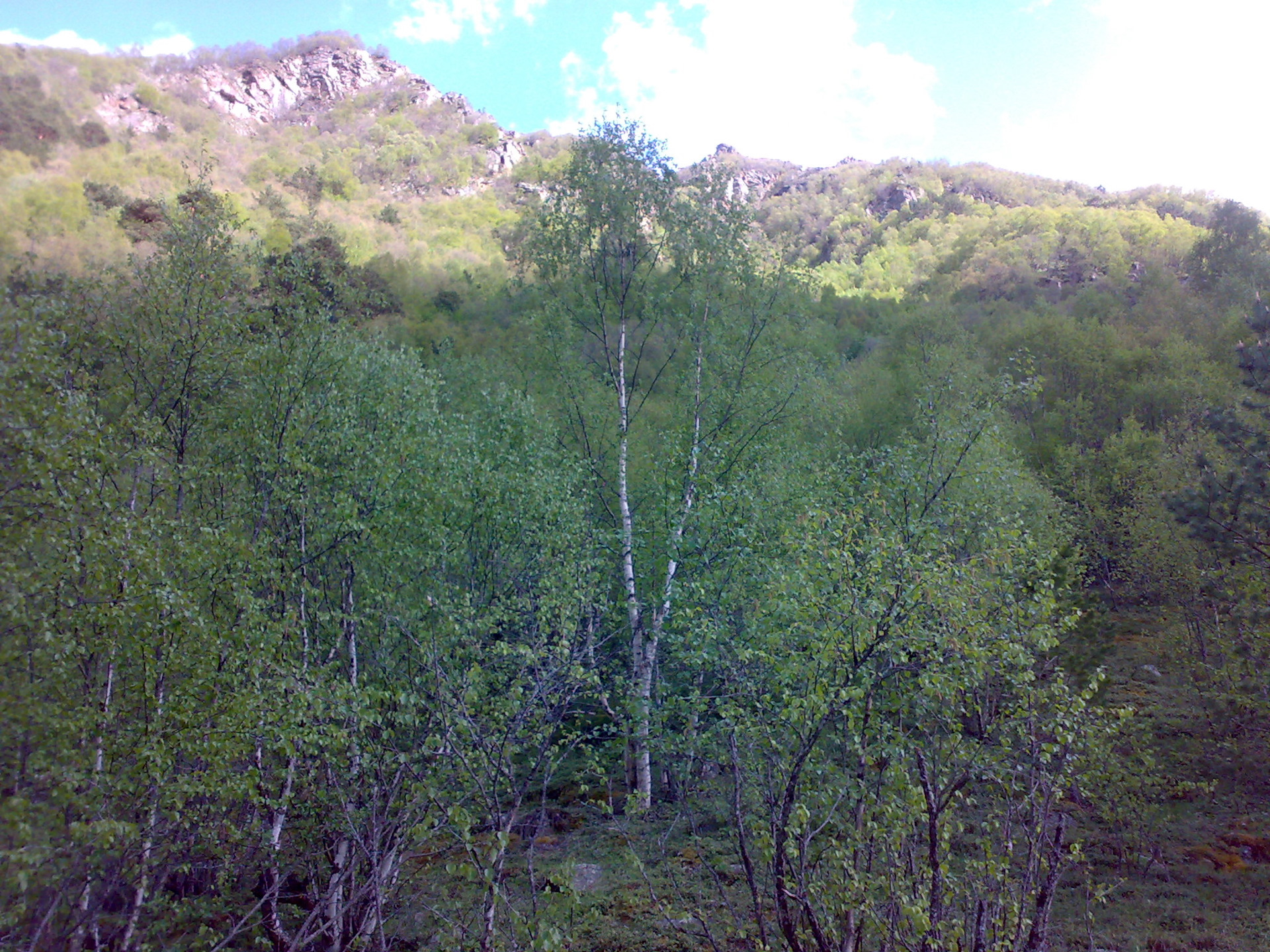 https://a.d-cd.net/v5s8BfnR9I042cPjFi_TIQWeiX0-1920.jpg